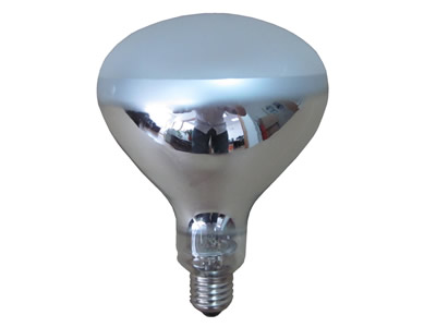 R125 UVB Lamp