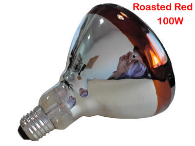 BR38 Infrared Heat Lamp
