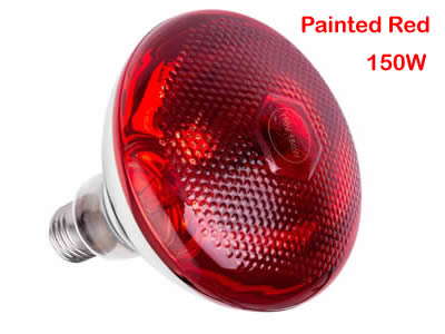 BR38 Infrared Heat Lamp
